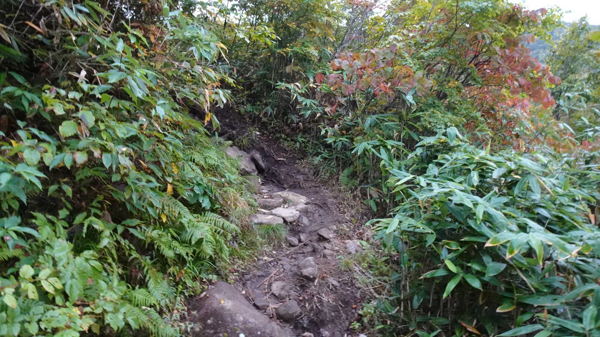 上り始め。巻機山での苦い思い出が頭をかすめる。（あの時は下山でコテンパンにされたんだっけ・・）