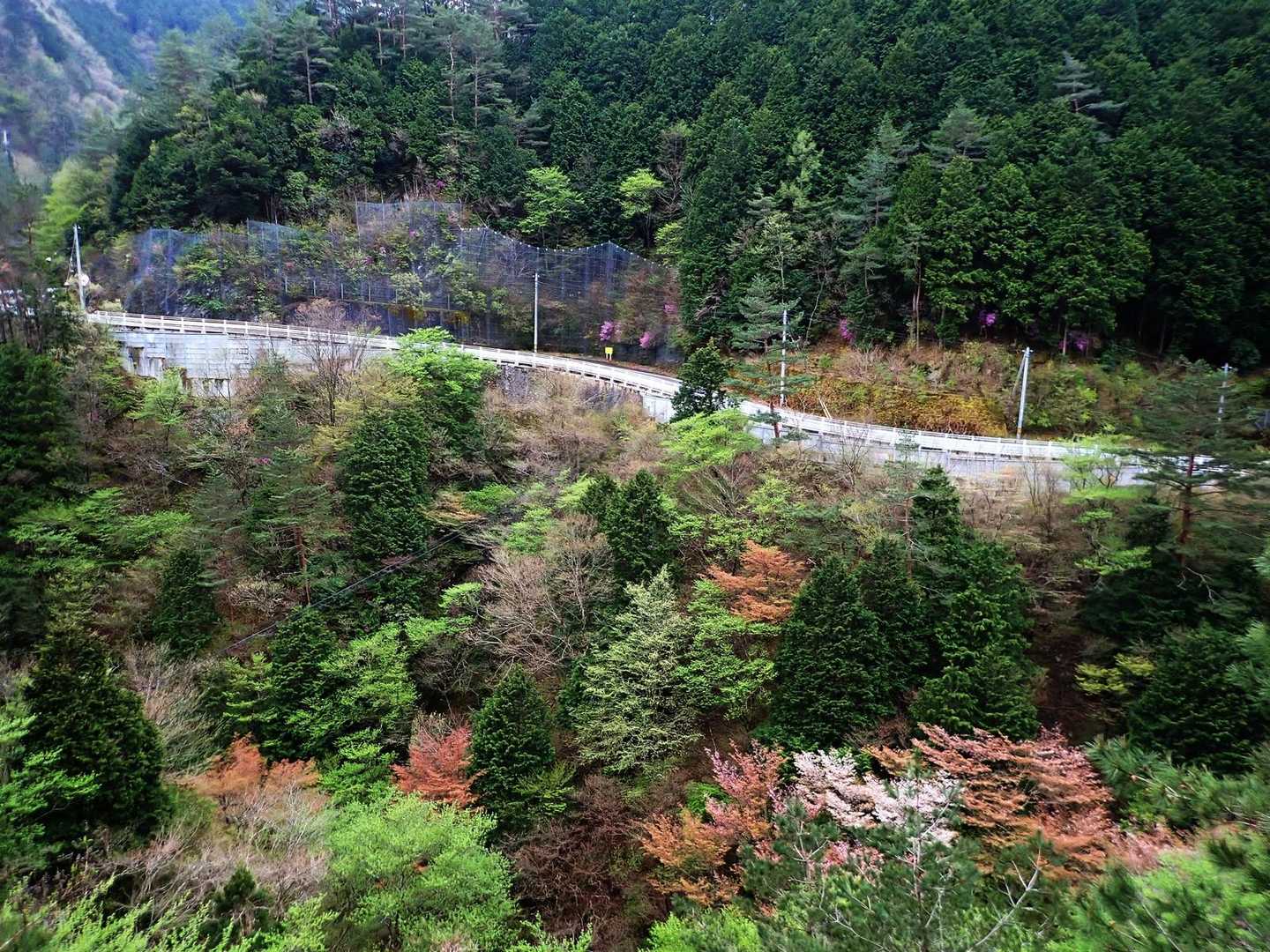 ゴールは近い（愛媛県道47号新居浜別子山線 ）