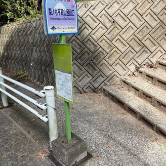 時刻表が無いので不定期運行なのでしょうか。