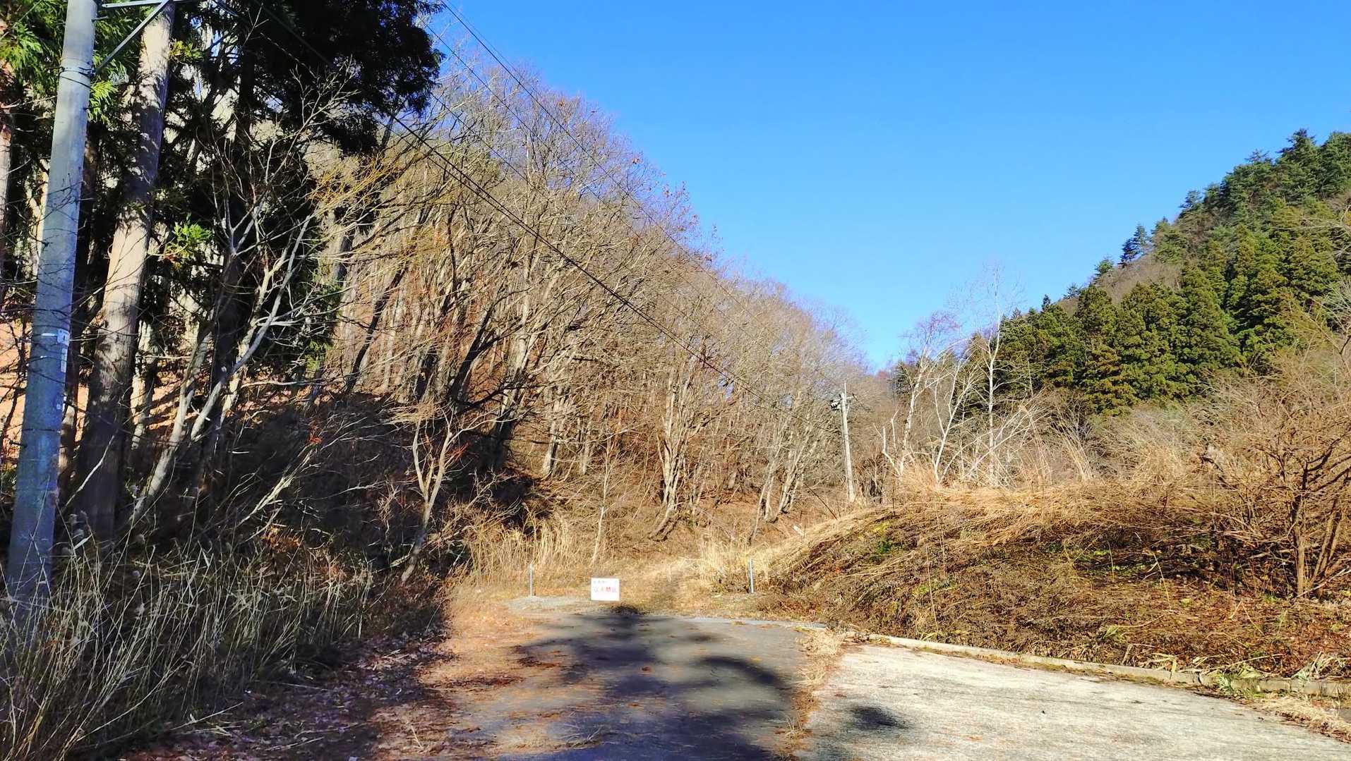 11/29 天気がいいので午後から近場の黒森山へ