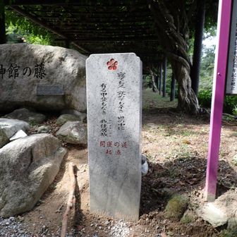 今日は開運の道を登る
