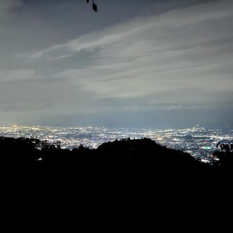 夜景がきれい