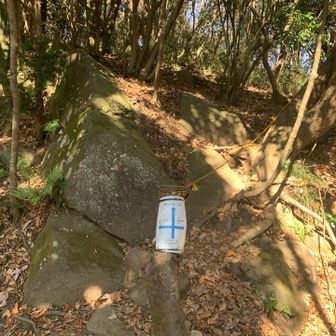 山頂への分岐案内看板はあるけど分かりにくい　ロープ沿いに上がる