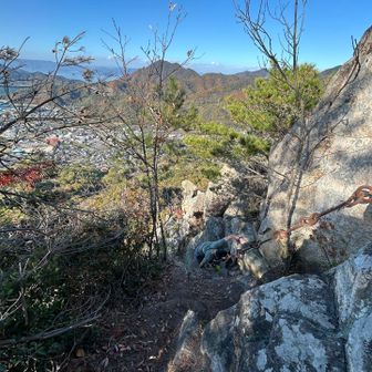 登り切って一息ついたら夫も登ってきた👍
グッと立ちこむ動きがまだ難しいので往生するかなと思っていたけど、工夫しながら上手い具合に登れたみたい😉