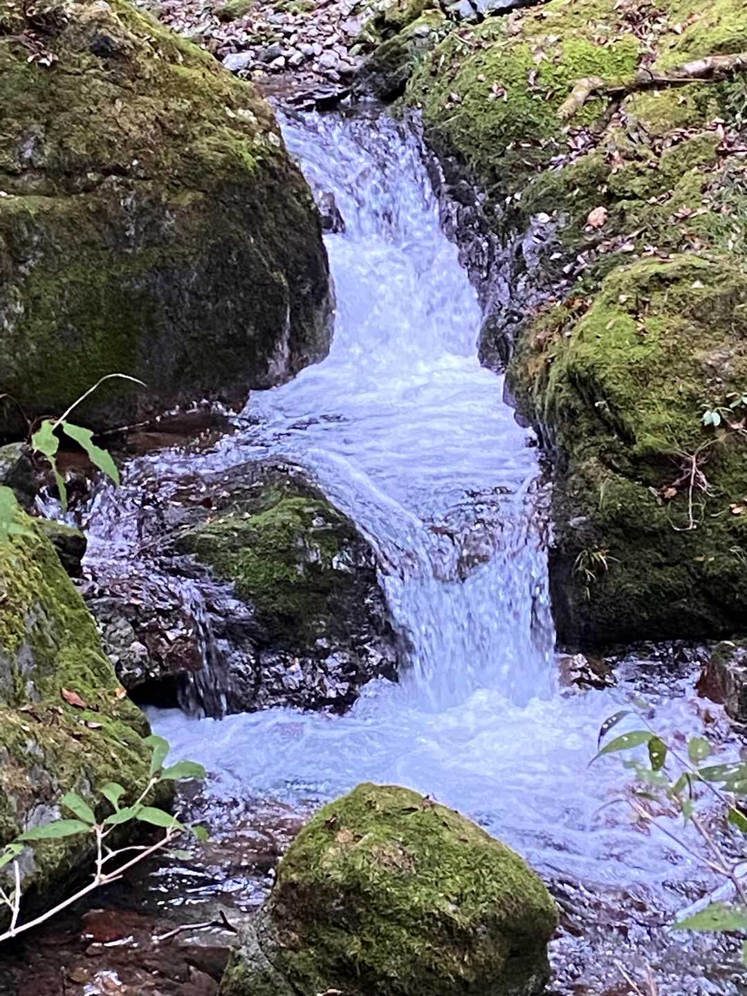 名郷バス停-鳥首峠-天神山-ウノタワ-横倉山-妻坂峠 周回コースの写真