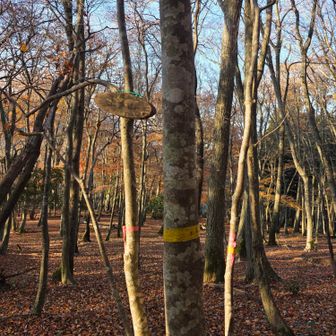 素通りしてて、少し戻って山名プレート発見💦