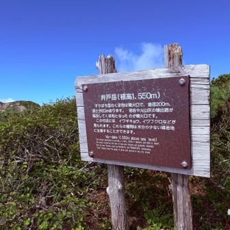 井戸岳、山頂。