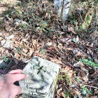 四等三角点タッチ🫳
ここから周南山まではなだらかな道が続いてました😄