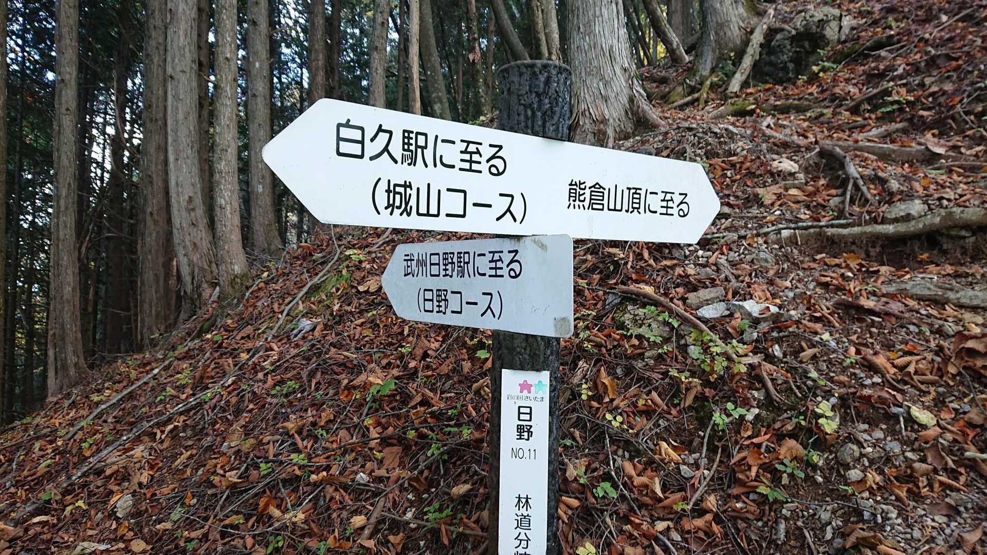 山頂下にある日野コースへの分岐(帰りは日野コースに下山)