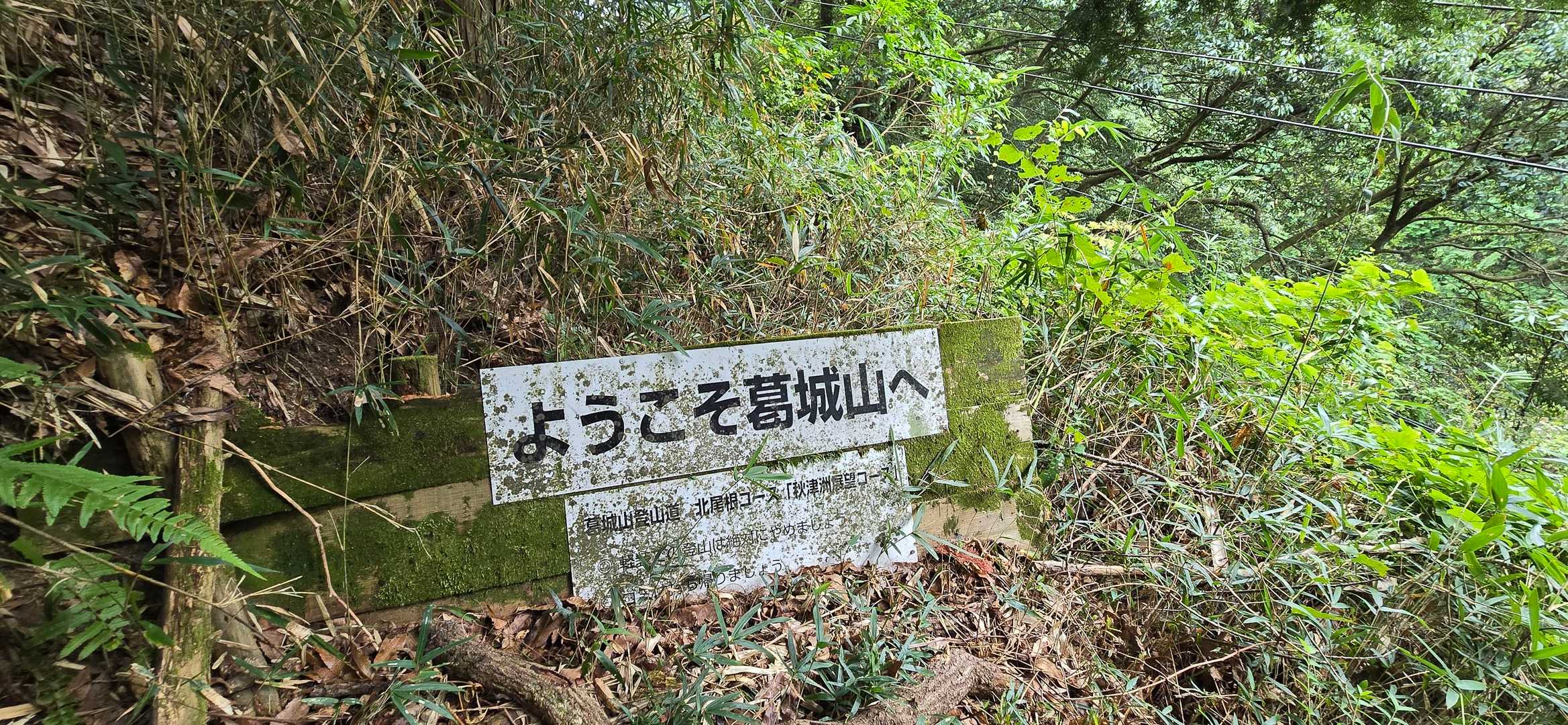 はーい(-o-)/   来たよ