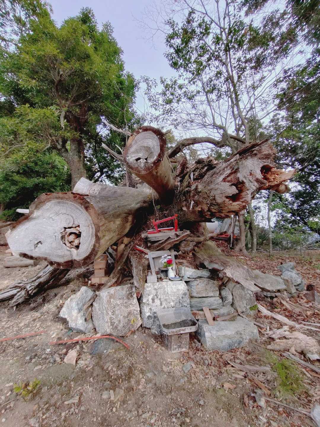 大杉社跡、拝礼🙏