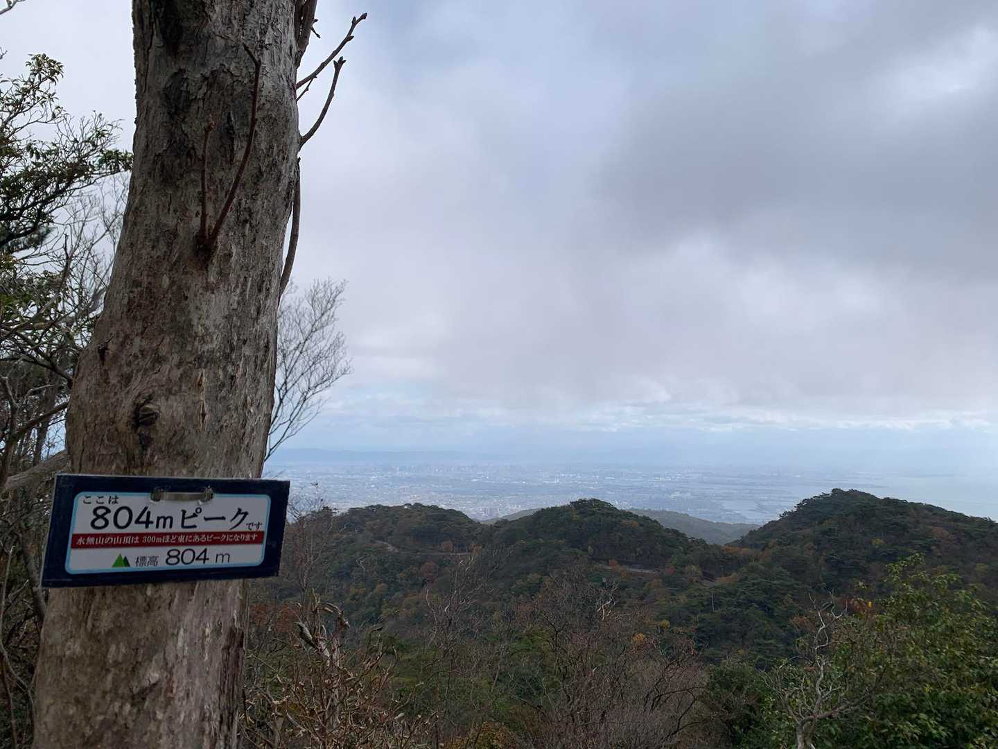 大阪の街並みが少しずつ近くなって来ました