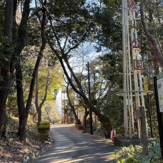 公園の古いモニュメント？できた時は周り木は、もっと低かったんだろうな。