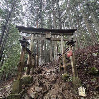 参道から妙法ヶ岳へ至る山道へ入る

…とたんに無音の世界になる
