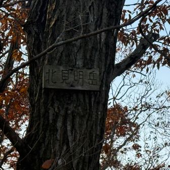 なんでいくら低山でもそこそこ疲れてきた12.北見明岳。