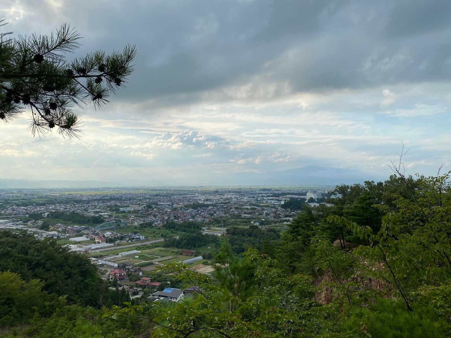 小菰石山-大岡山 往復コースの写真