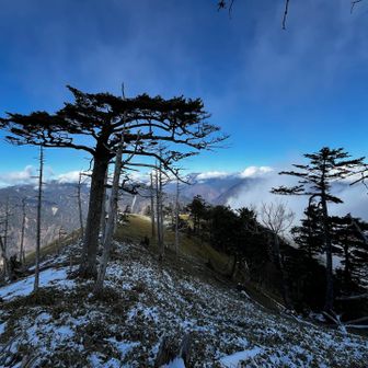 ちょっと覗きに🫣