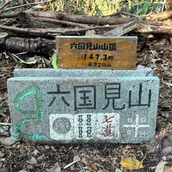 昔は六國見えたはずですが
今はヤブで眺望ありません