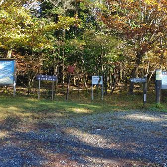 県道180号線を横切るとある須山口登山道入口。
