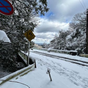 土曜日なのに🅿️空いてた。