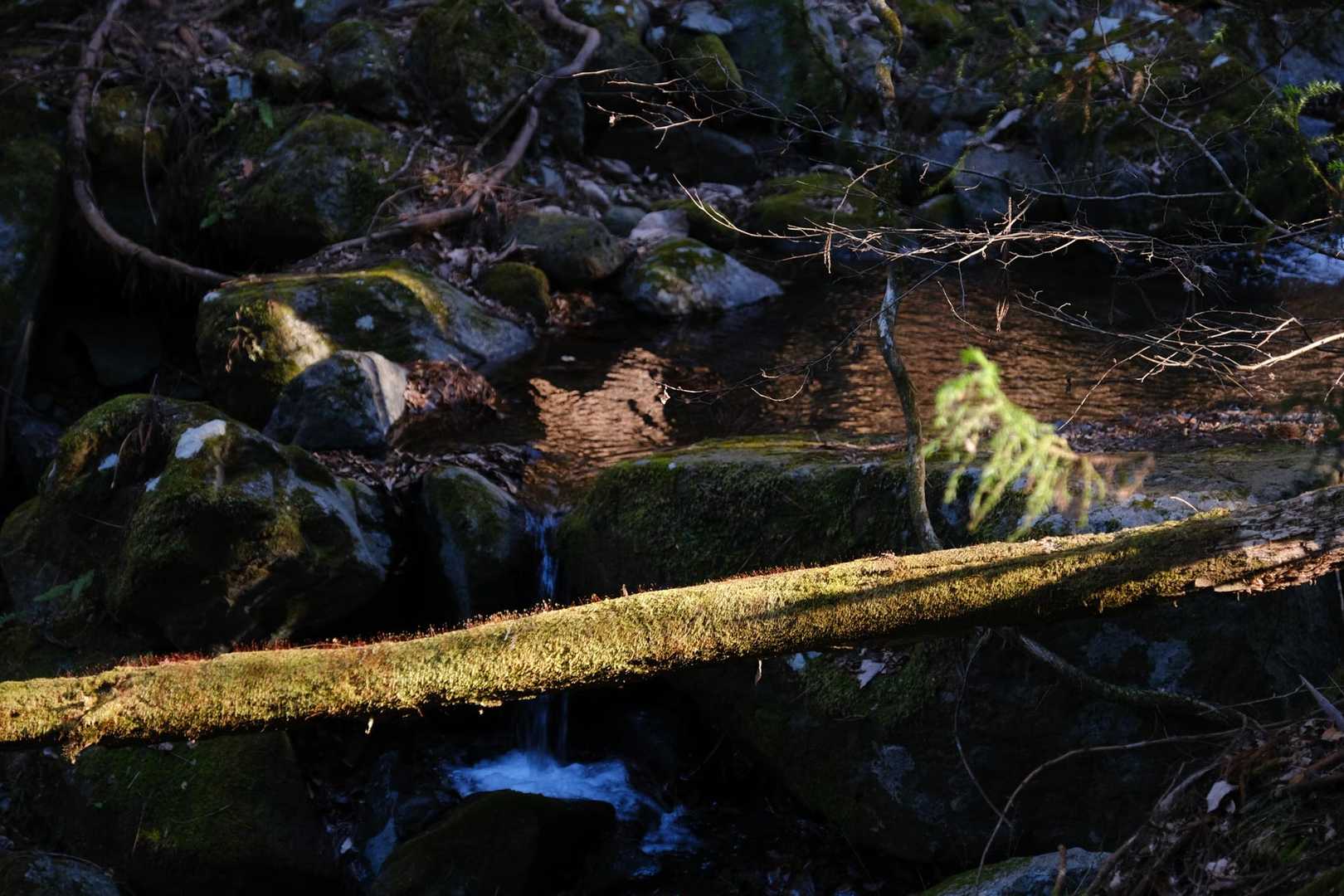 沢沿いの道