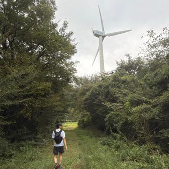 風力発電と○態さん🤭