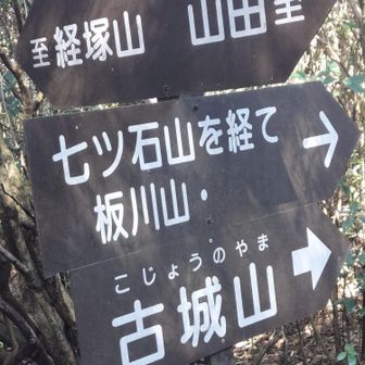 分かれ道