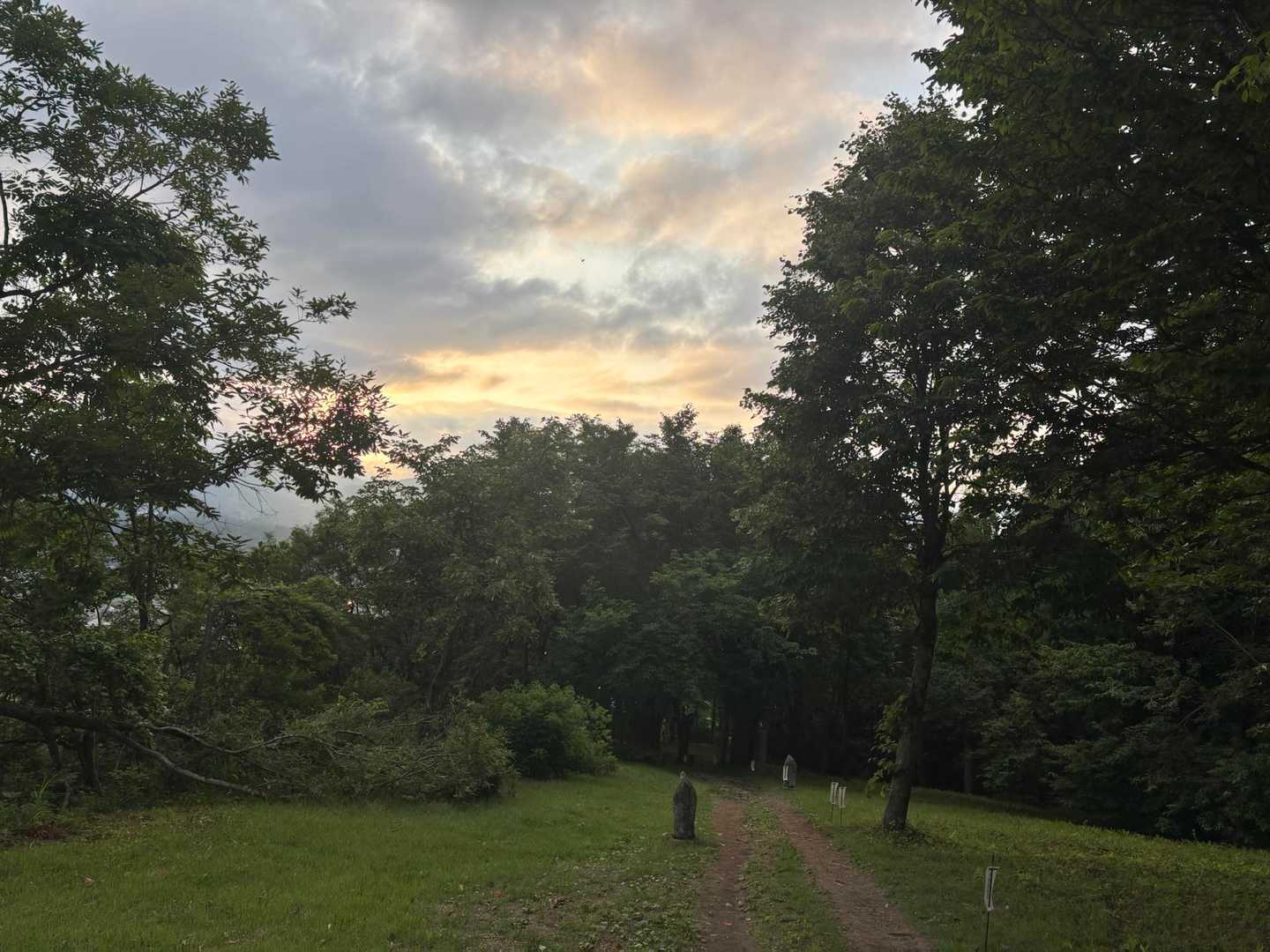 坂戸山登山口-坂戸山 往復コースの写真