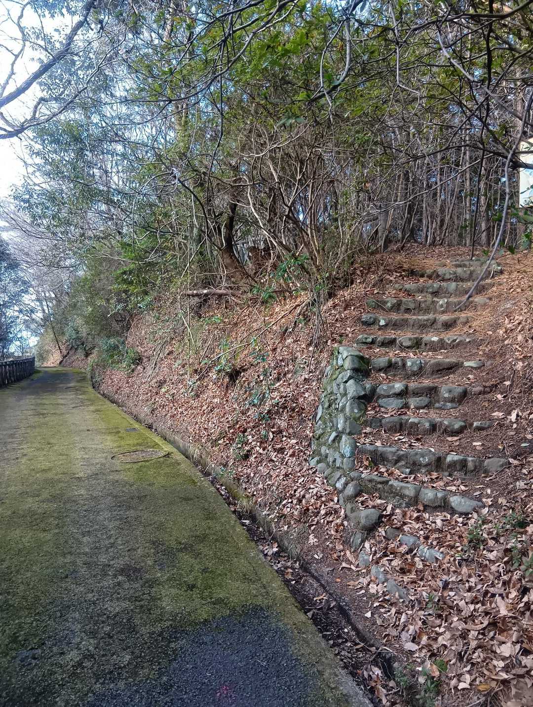 ここから階段を上がり山道へ