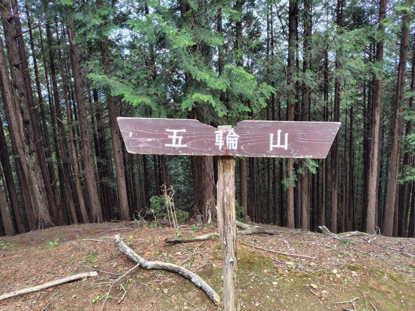 オリンピックの五輪ではないでしょう、きっと。
