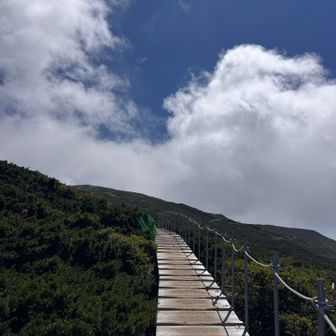 木道ステップが続く
