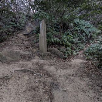 右はバイパスらしい