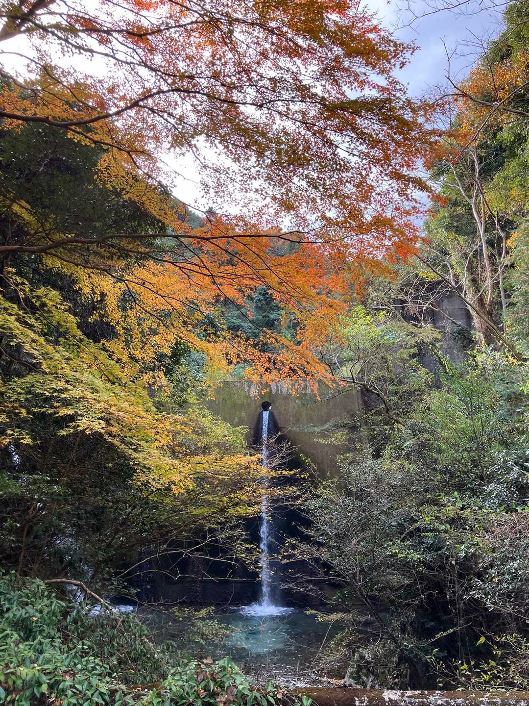 多度峡に降りて来たよ！
滝と紅葉🍁映える〜😍
でもよく見ると滝？？？
丸い管から落ちてる…💧やだ〜