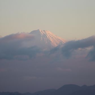東峰より望む富士山 4