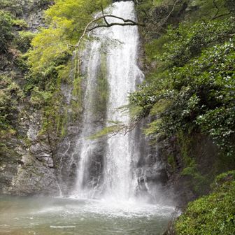水量多い