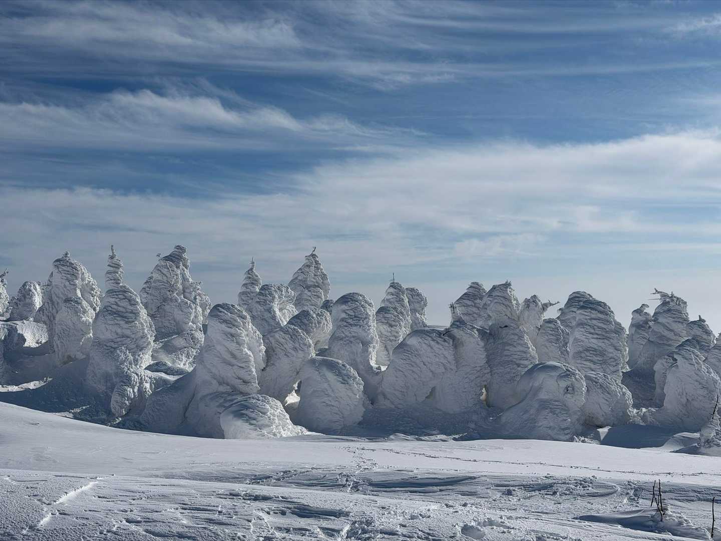刈田岳-仙人沢コース登山口-蔵王ライザワールド 縦走コースの写真