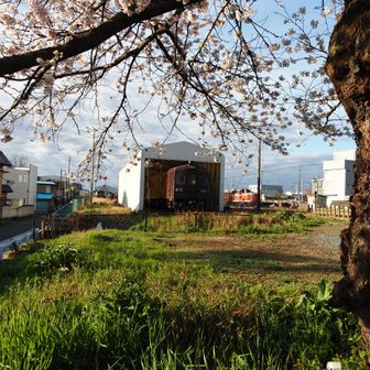 歩いても５分くらい
ながめの桜も綺麗です