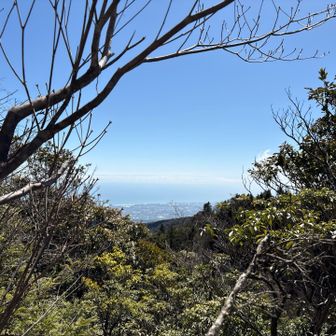 隙間から海の方が見えました。
