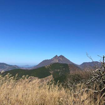 同じく城ヶ岳より😺