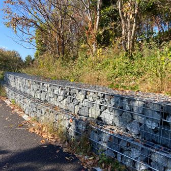 土砂の流出を防ぐために石が積み上げられていますね。