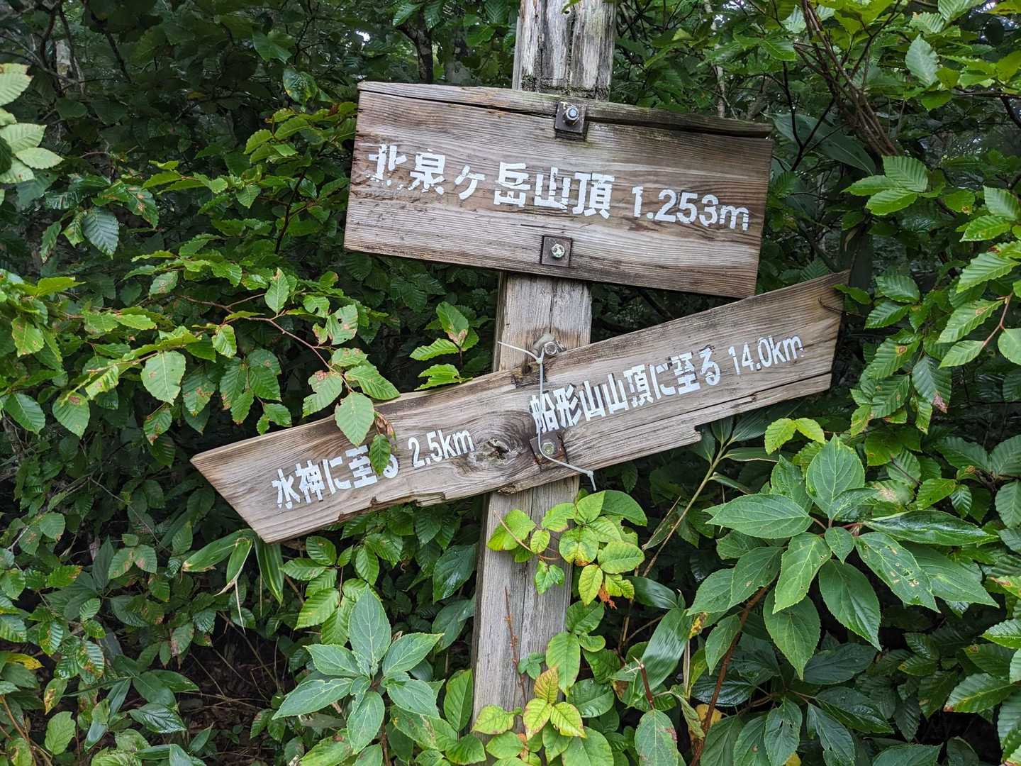 北泉ヶ岳-お分れ峠-泉ヶ岳 縦走コースの写真