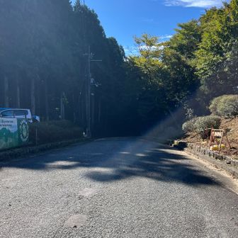 ここから舗装路👇