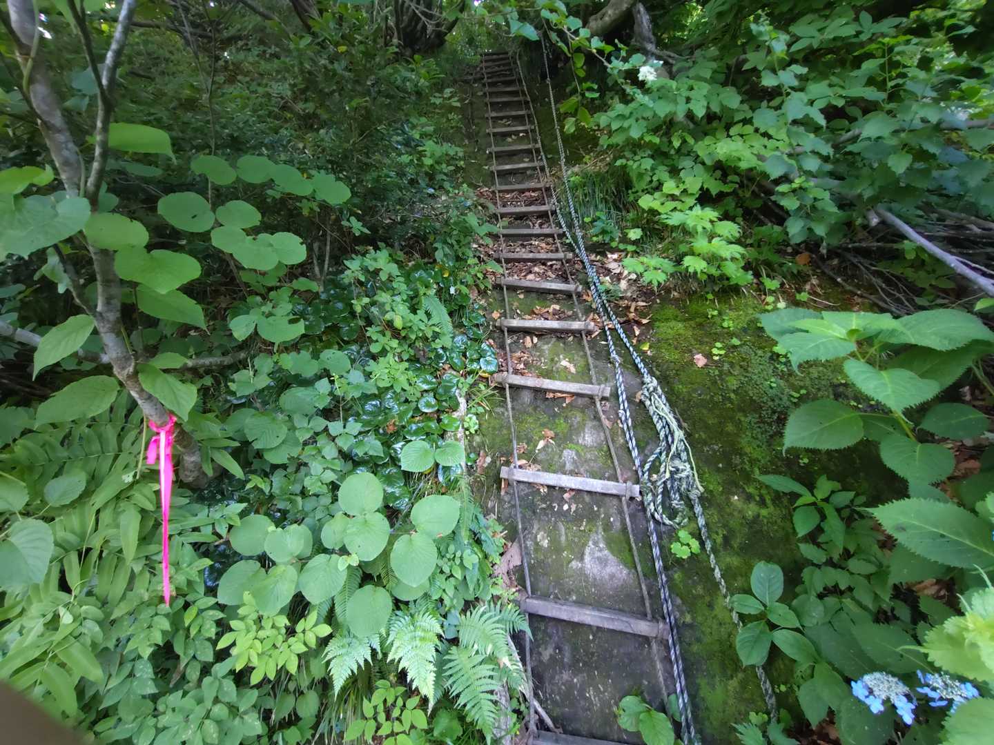 でました。
海谷ルート名物「縄梯子」
足をかける所が…、縄といっても登山用ザイルで伸びるんです。
実に怖い。