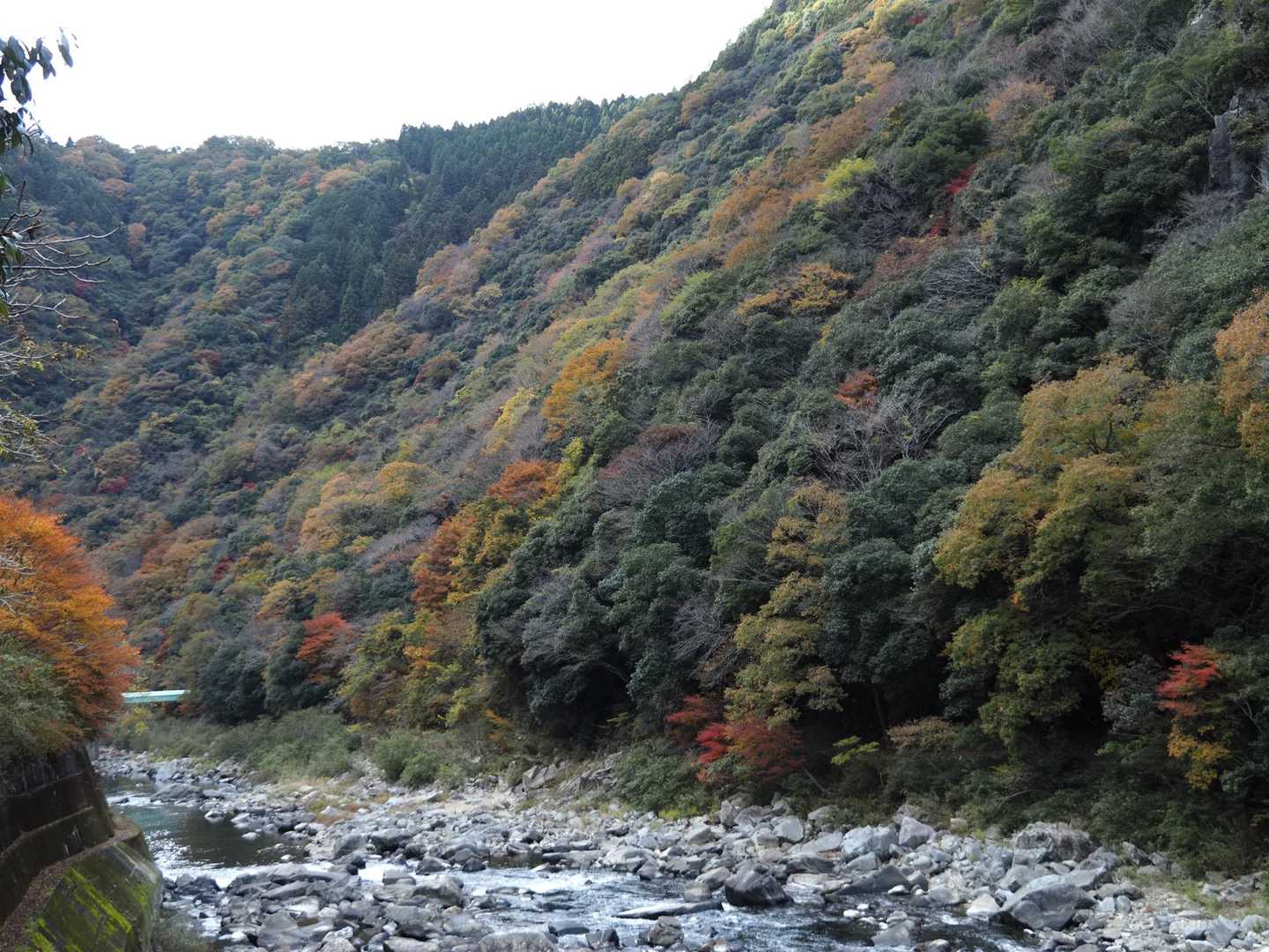 山本駅-満願寺西山-長尾山-中山-取り付き-大峰山-林間広 縦走コースの写真