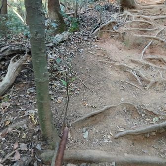 あんな場所で❗