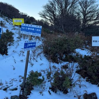 八風峠向かう途中の分岐
やたら看板🪧多いな笑