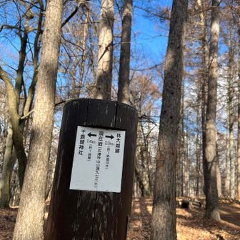 光澤寺山へ到達。分岐にもなっています。