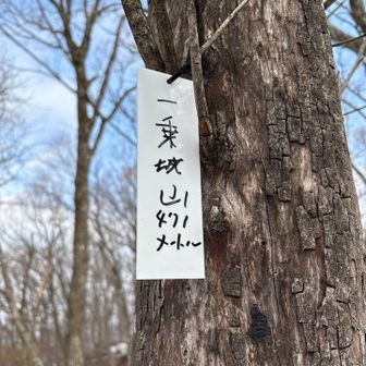新しい山名標識、ちゃら書きなのか💦