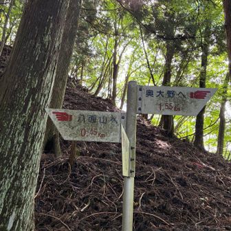 この少し手前で腰が痛くなり休憩しながら少しずつ登る。あと少しが遠すぎる。