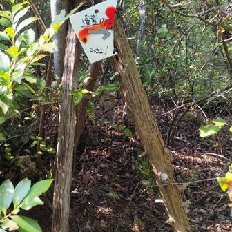わかりにくいけど、この案内の通りに行きました。すると金毘羅山登り口駐車場(多賀の碑)に降りました。この割れた小さな案内は、更にその先にある各務野自然遺産の森へ行くならこちらへという意味だったようです。
